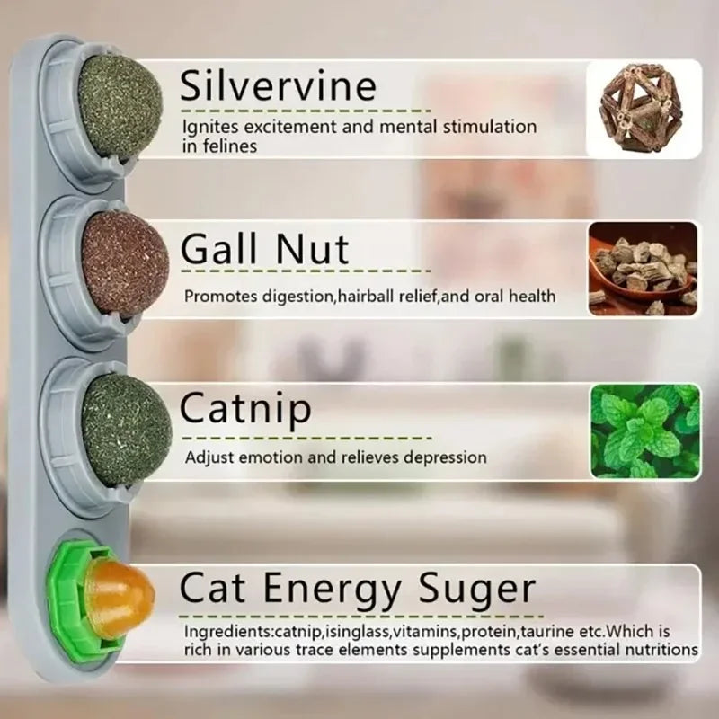 4-in-1 Silver Vine Catnip Wall Ball