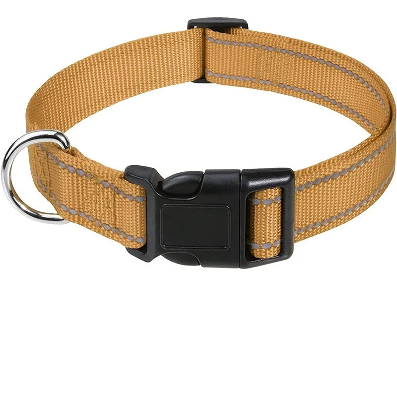 Adjustable Nylon Dog Collar for Small & Medium Dogs