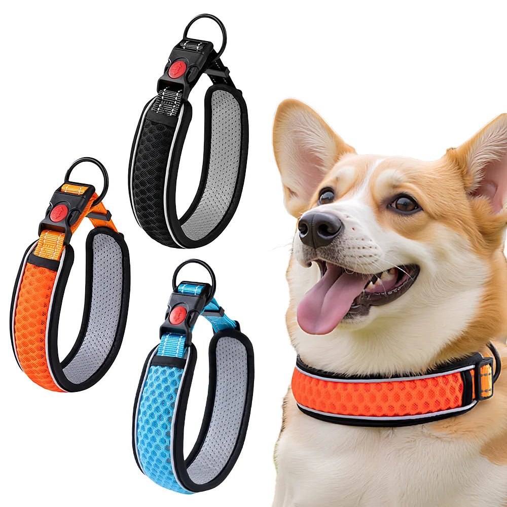 Adjustable Dog Walking Collar