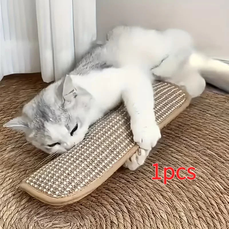 Cat Play Pillow & Scratching Pad