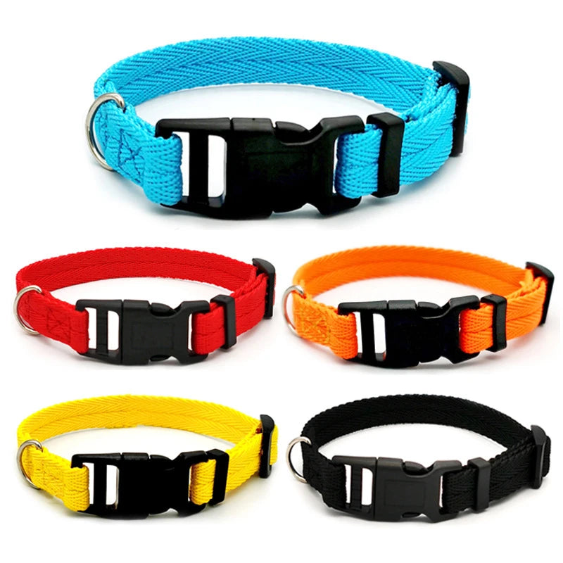 Quick-Release Dog Collar for Small & Medium Dogs