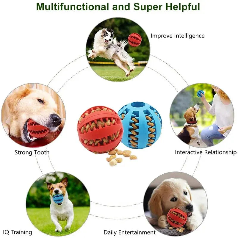 Treat Dispensing Dog Chew Ball