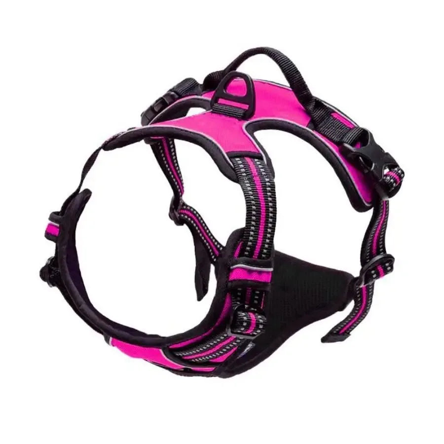 Leather Collar, Harness & Leash Set
