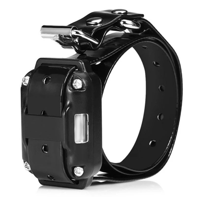Replacement Receiver Collar (Remote Not Included)