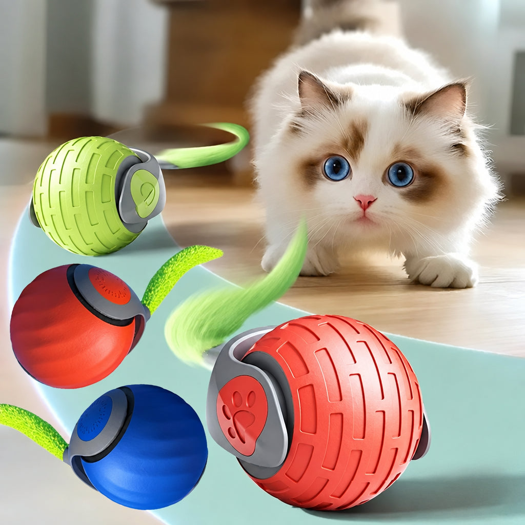 Automatic Bouncing Cat Ball – Rechargeable