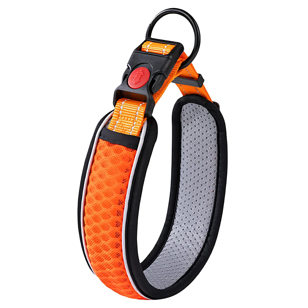 Adjustable Dog Walking Collar