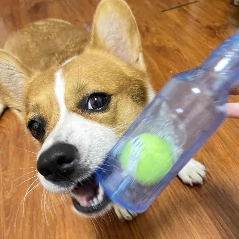 Beer Bottle Chew Toy with Tennis Ball