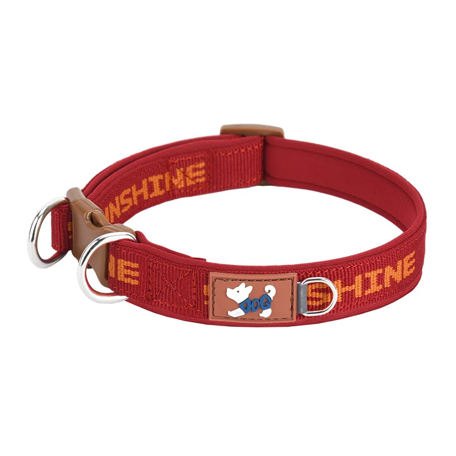 Adjustable Dog Collar with Two Metal D-Rings
