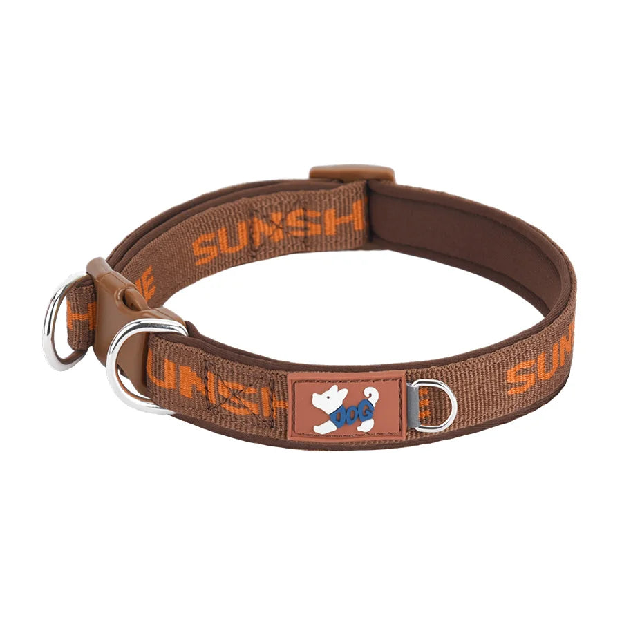 Adjustable Dog Collar with Two Metal D-Rings