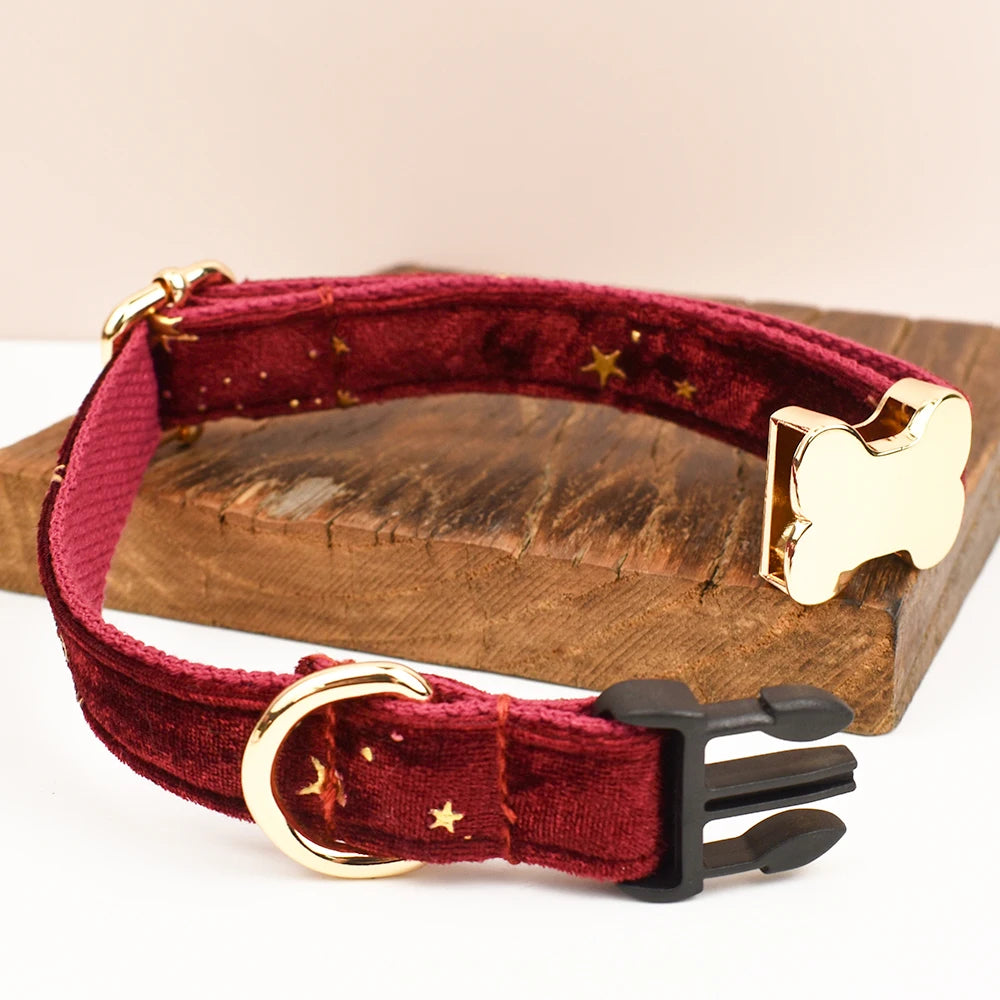 Premium Custom Engraved Dog Collar