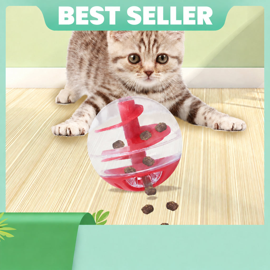 Cat Treat Dispensing Ball