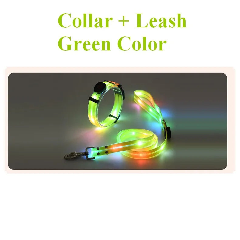 LED Light-Up Dog Leash – USB Rechargeable