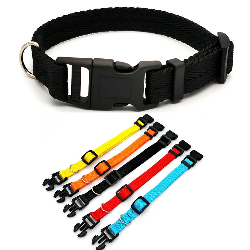 Quick-Release Dog Collar for Small & Medium Dogs