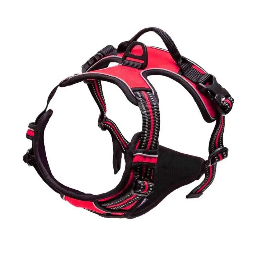 Leather Collar, Harness & Leash Set