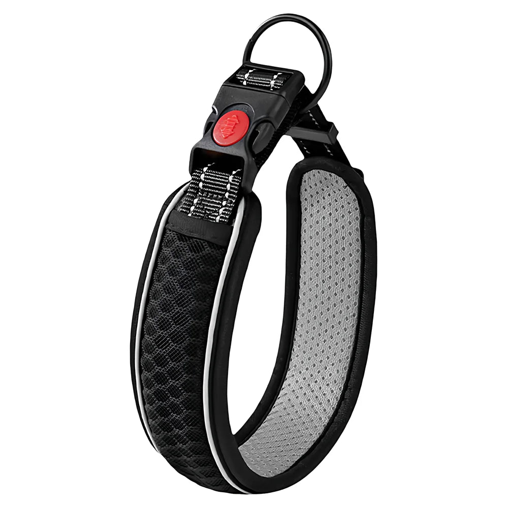 Adjustable Dog Walking Collar