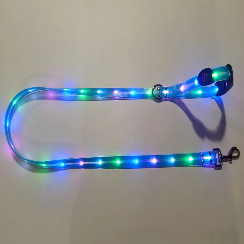 LED Light-Up Dog Leash – USB Rechargeable