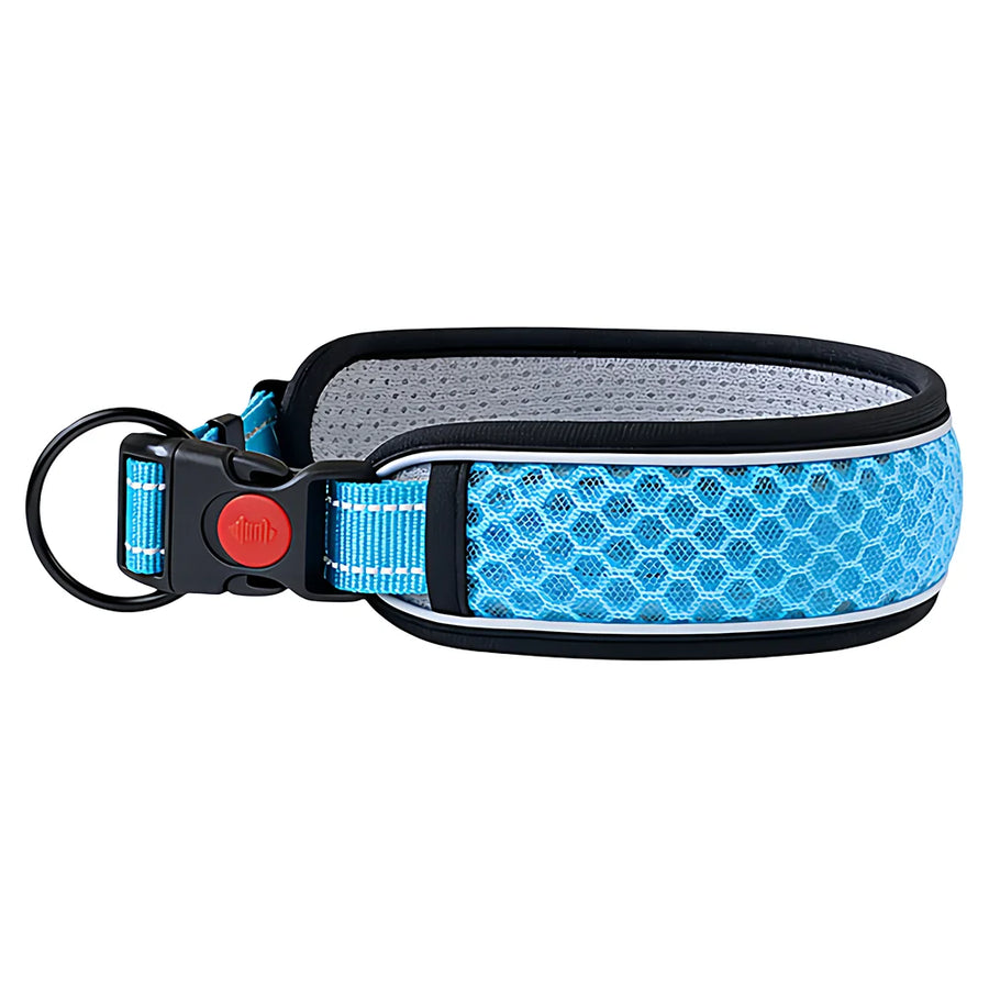 Adjustable Dog Walking Collar
