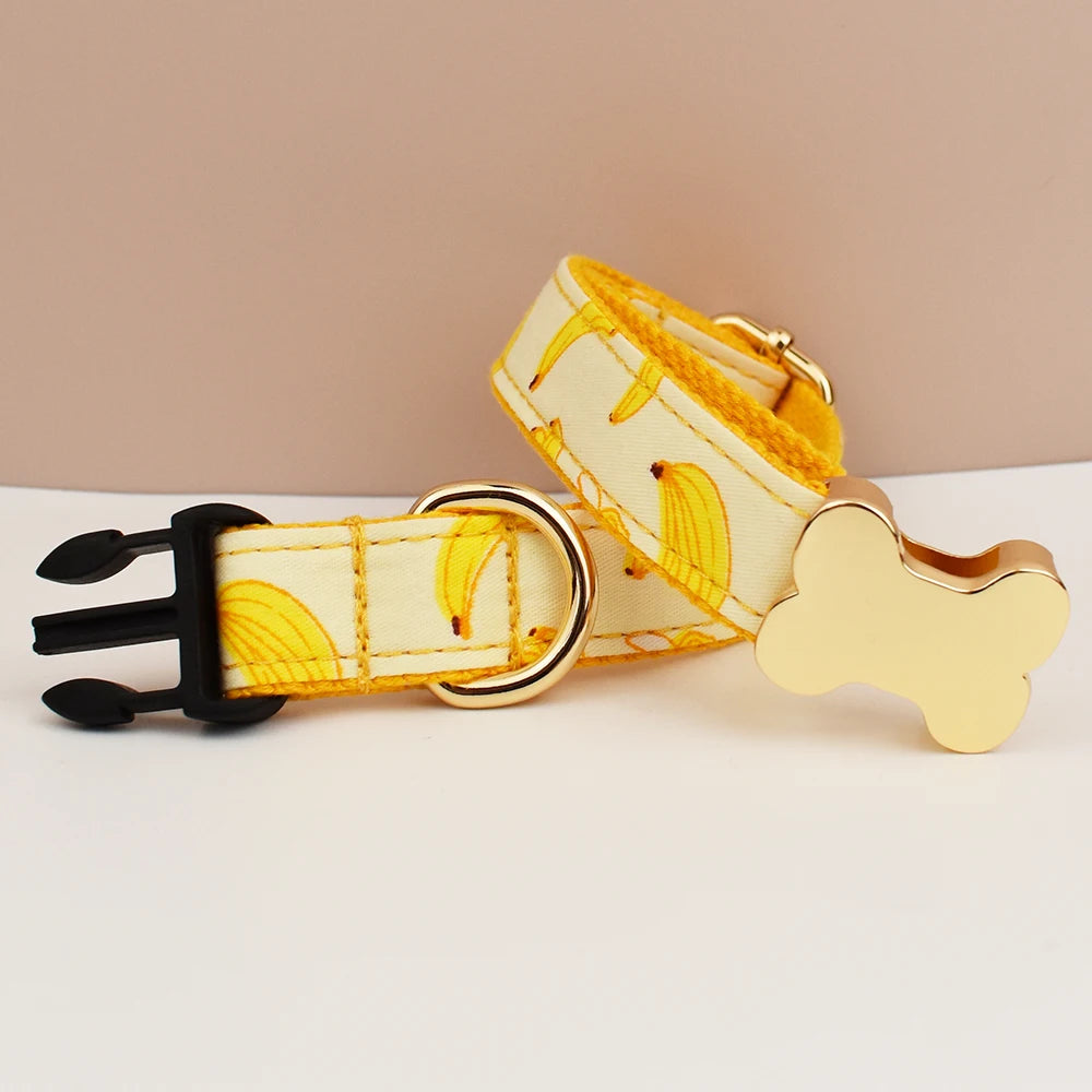Premium Custom Engraved Dog Collar