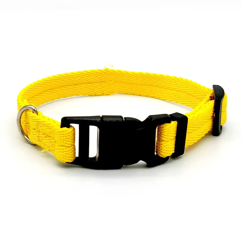Quick-Release Dog Collar for Small & Medium Dogs