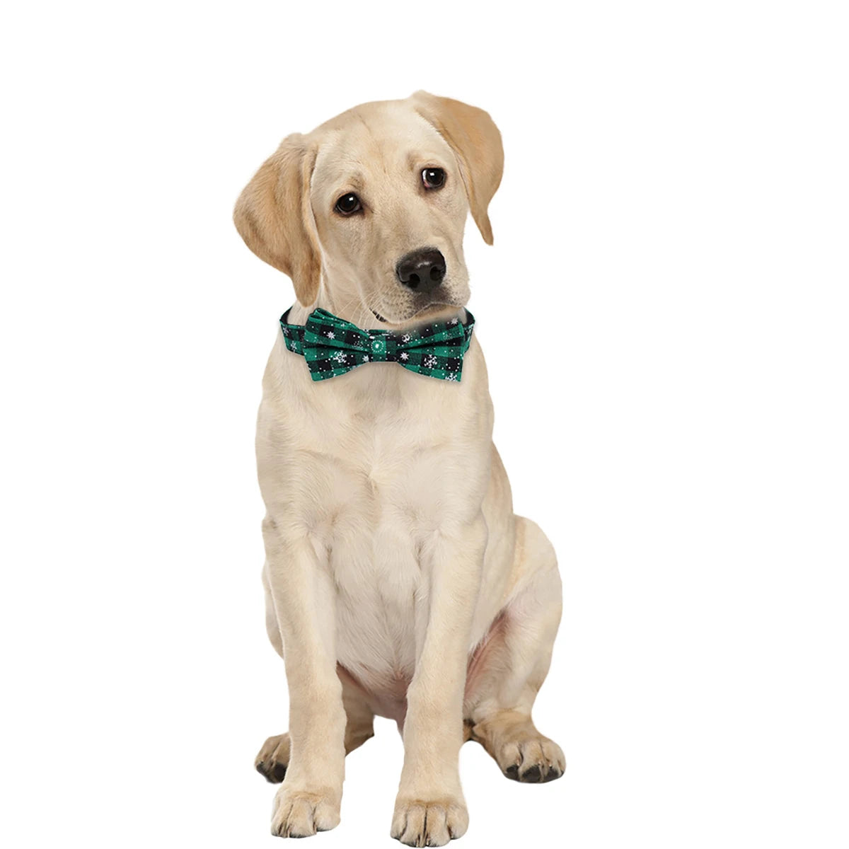 Christmas Plaid Dog Collar with Bow Tie