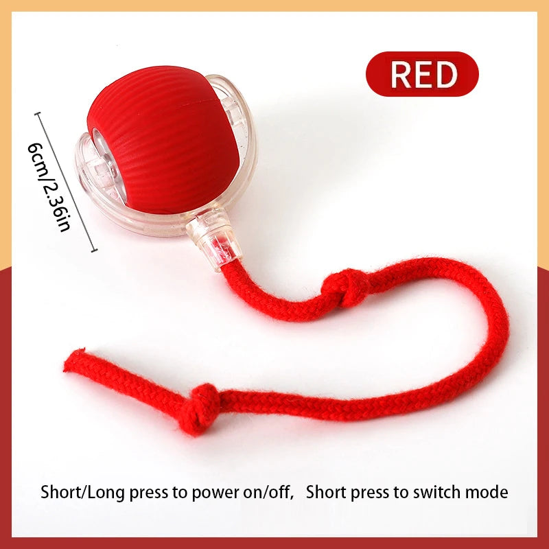 Automatic Bouncing Cat Ball – Rechargeable