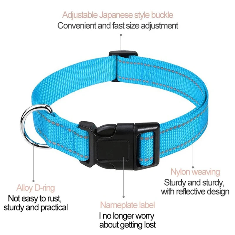 Adjustable Nylon Dog Collar for Small & Medium Dogs