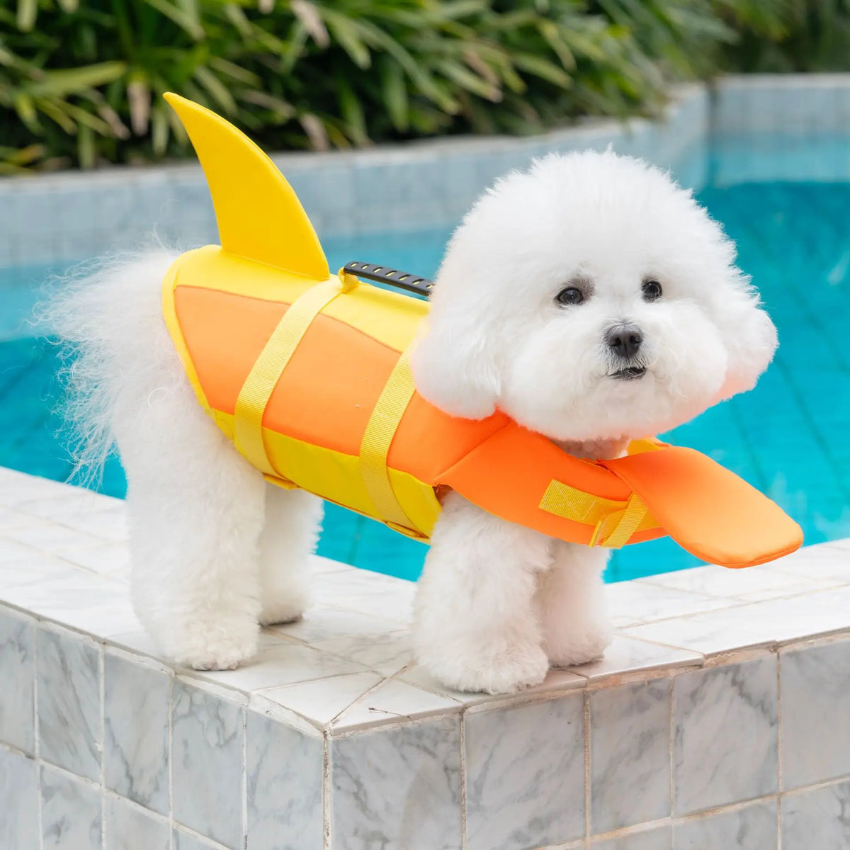 Dog Life Jacket – Swimming Safety Vest