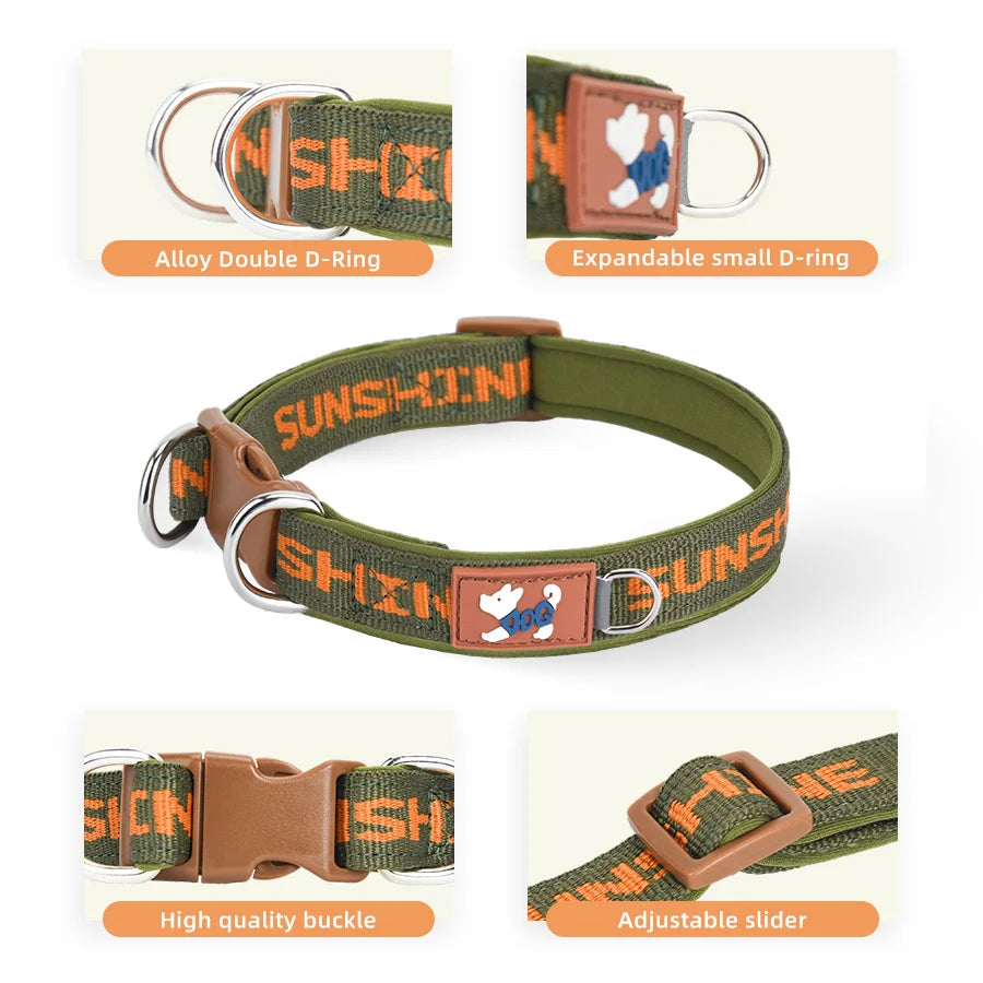 Adjustable Dog Collar with Two Metal D-Rings
