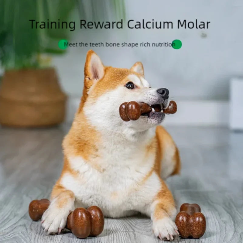Tough Dog Bone Chew Toy