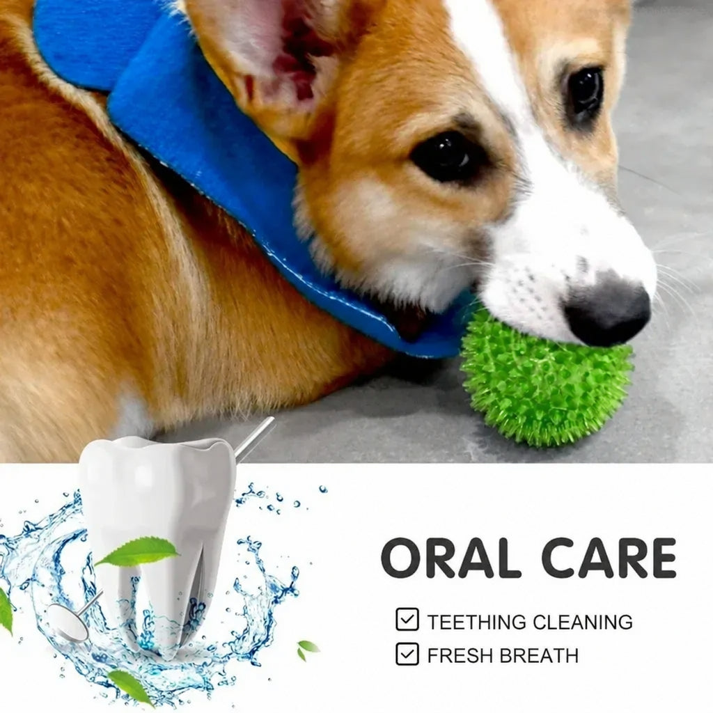 Squeaky Spiky Dental Ball