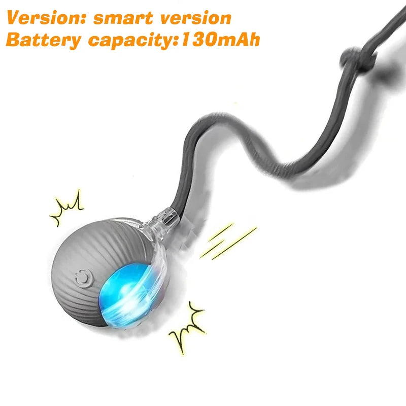 Smart Interactive Dog Ball – Rechargeable