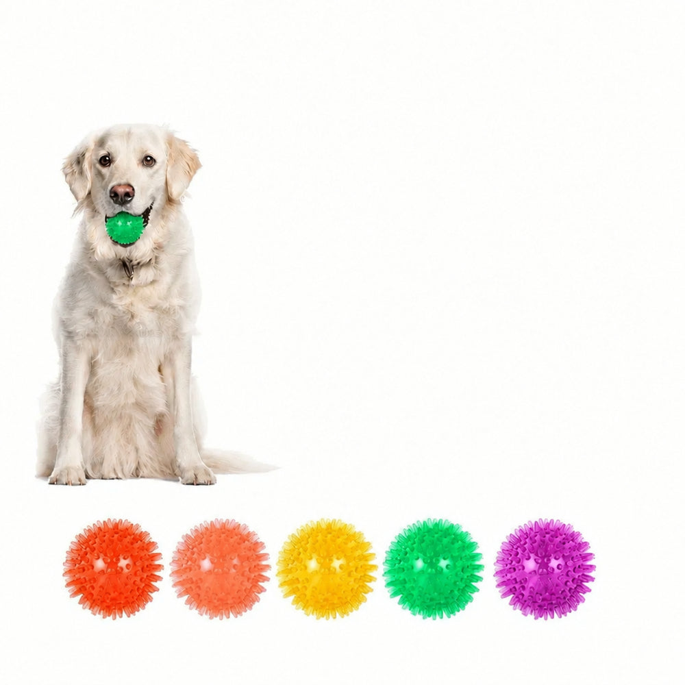 Squeaky Spiky Dental Ball