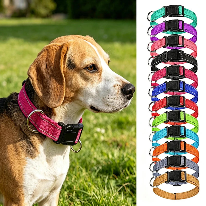 Adjustable Nylon Dog Collar for Small & Medium Dogs