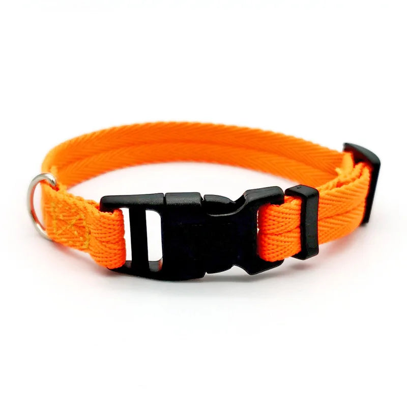 Quick-Release Dog Collar for Small & Medium Dogs
