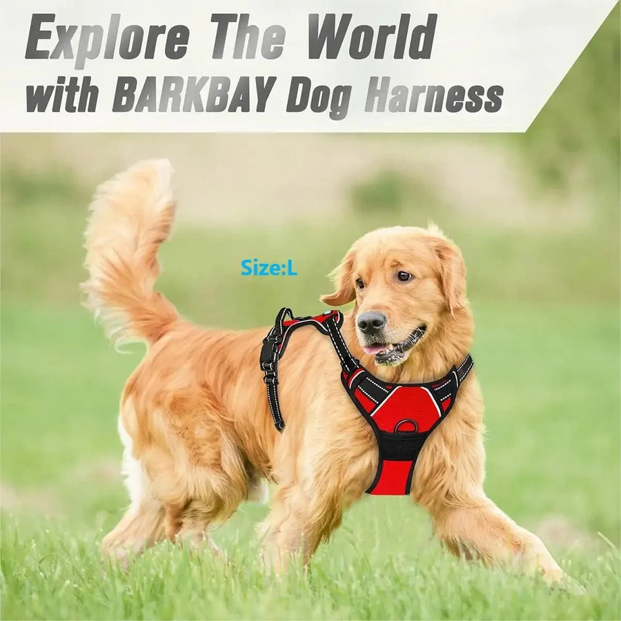 Leather Collar, Harness & Leash Set