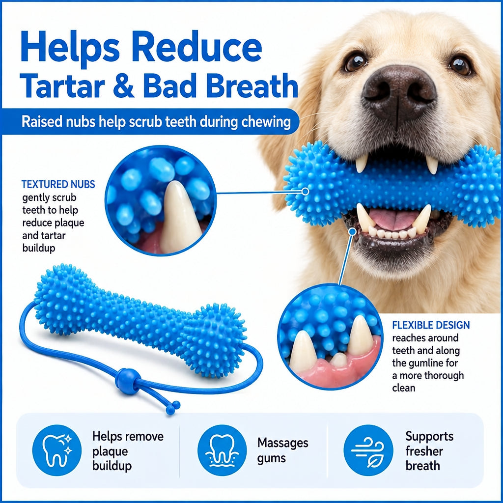 Dog Dental Chew Toothbrush Toy