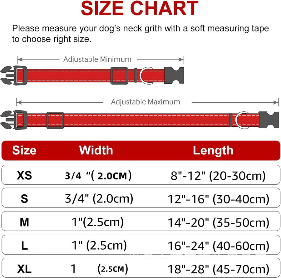 Adjustable Nylon Dog Collar for Small & Medium Dogs