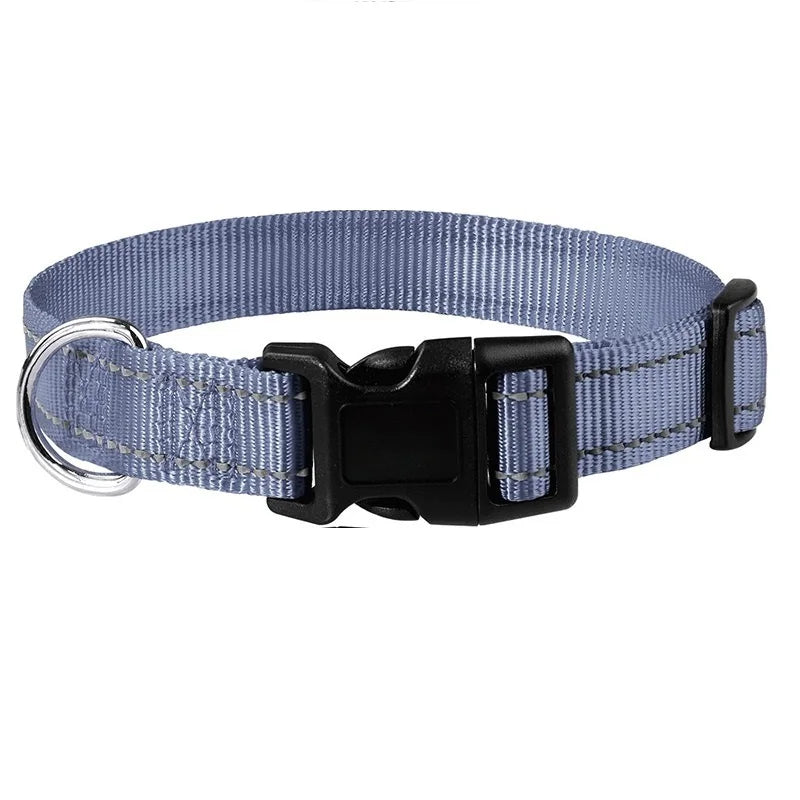 Adjustable Nylon Dog Collar for Small & Medium Dogs
