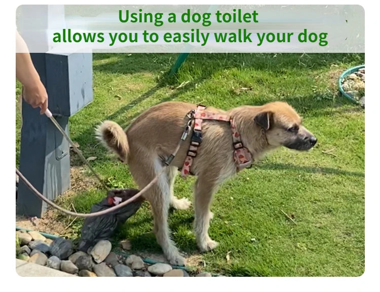 Portable dog waste collector – a convenient accessory for outdoor cleanup