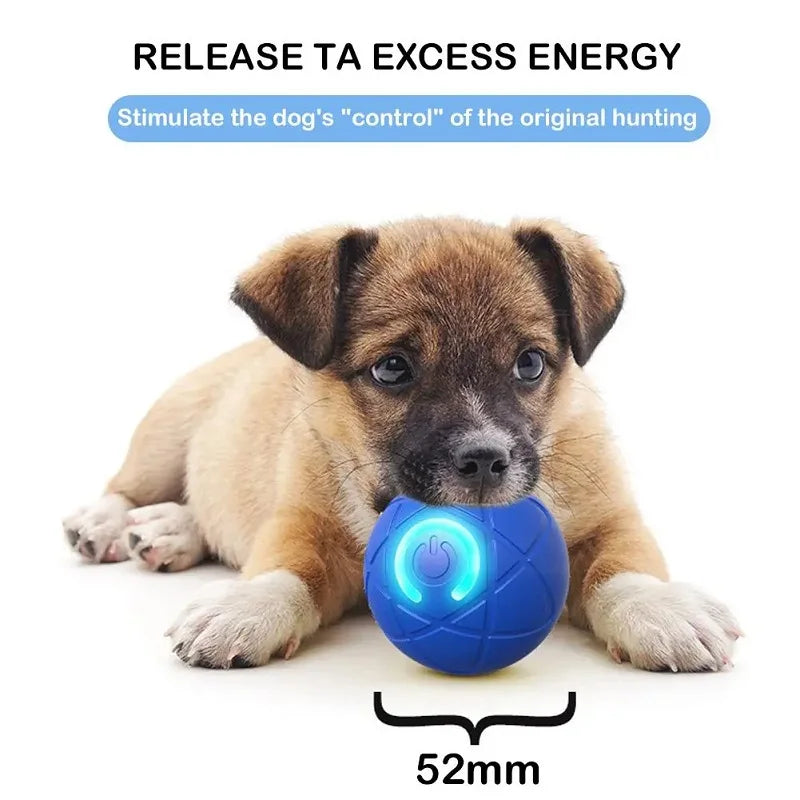 Auto-Moving Dog Ball – 2 Play Modes