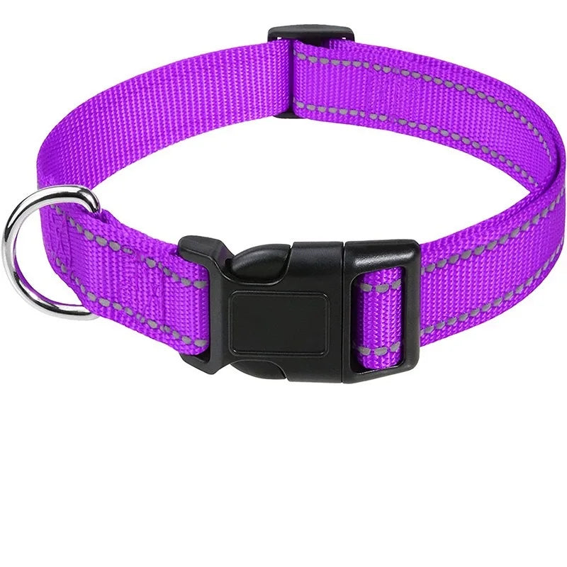 Adjustable Nylon Dog Collar for Small & Medium Dogs