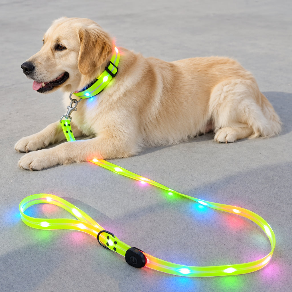 LED Light-Up Dog Leash – USB Rechargeable