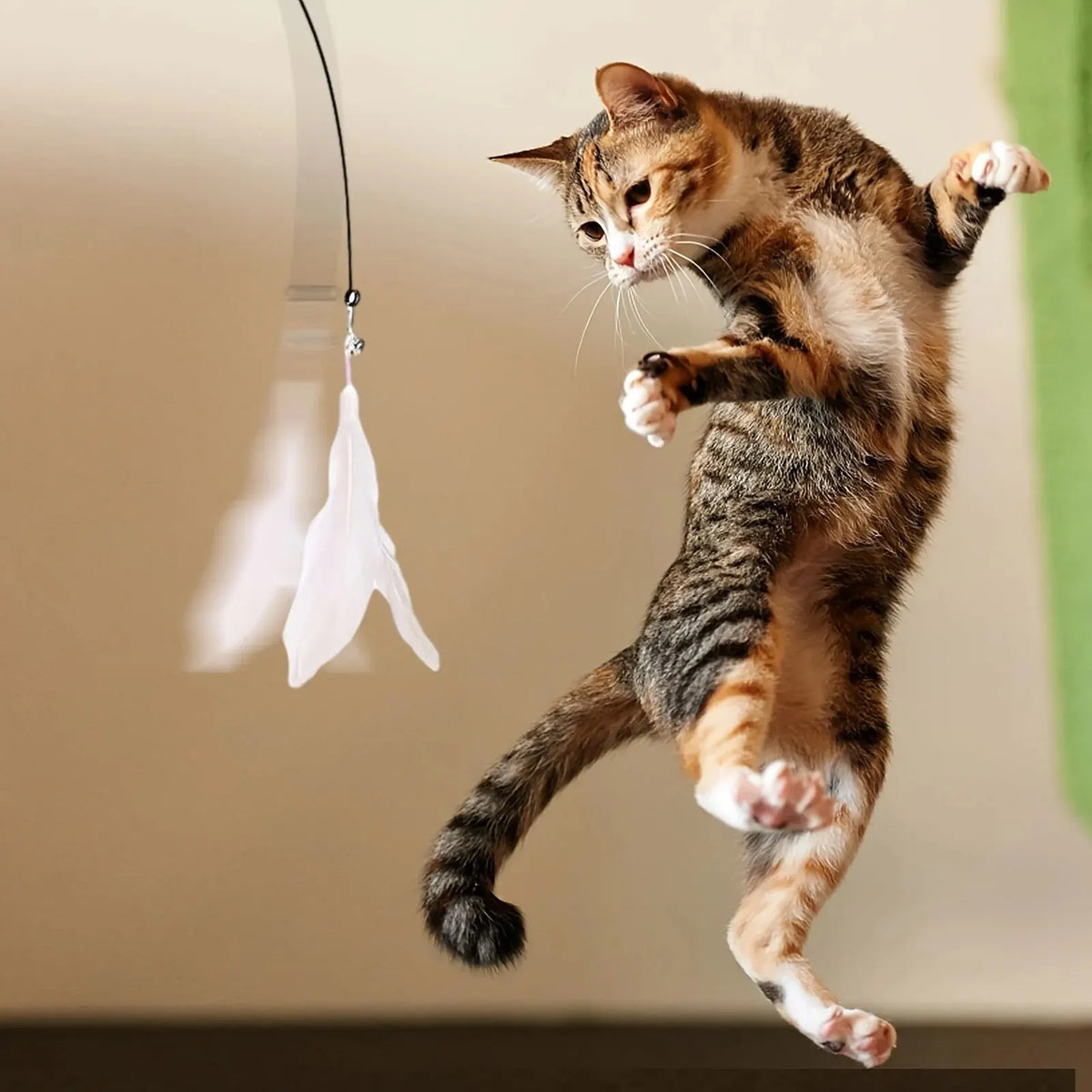 Suction Cup Feather Wand Cat Toy