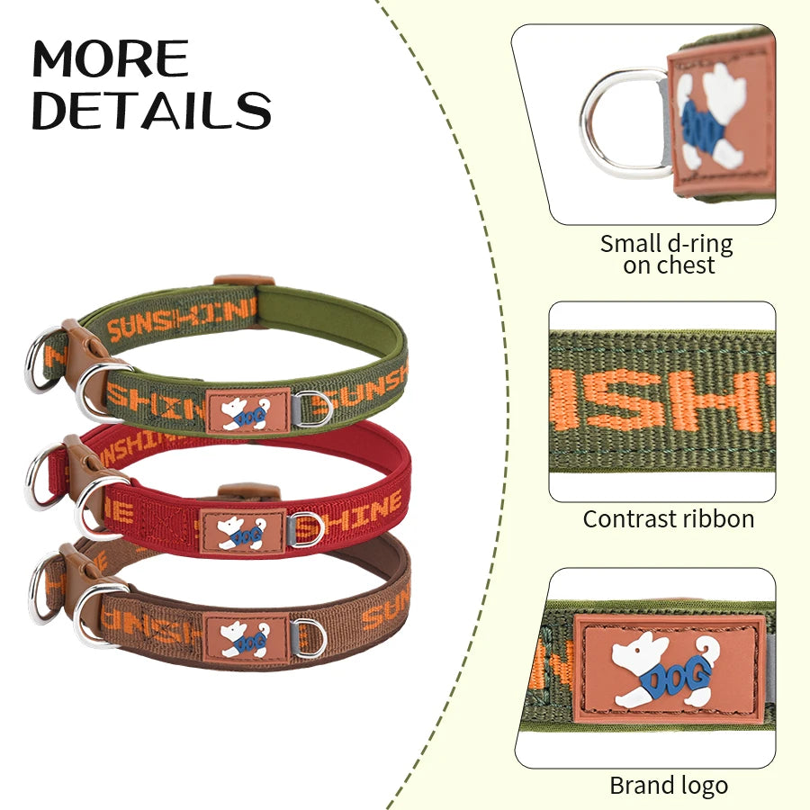 Adjustable Dog Collar with Two Metal D-Rings