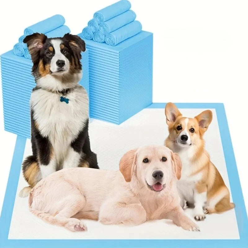 Super Absorbent Pet Training Pads (100 Pack)