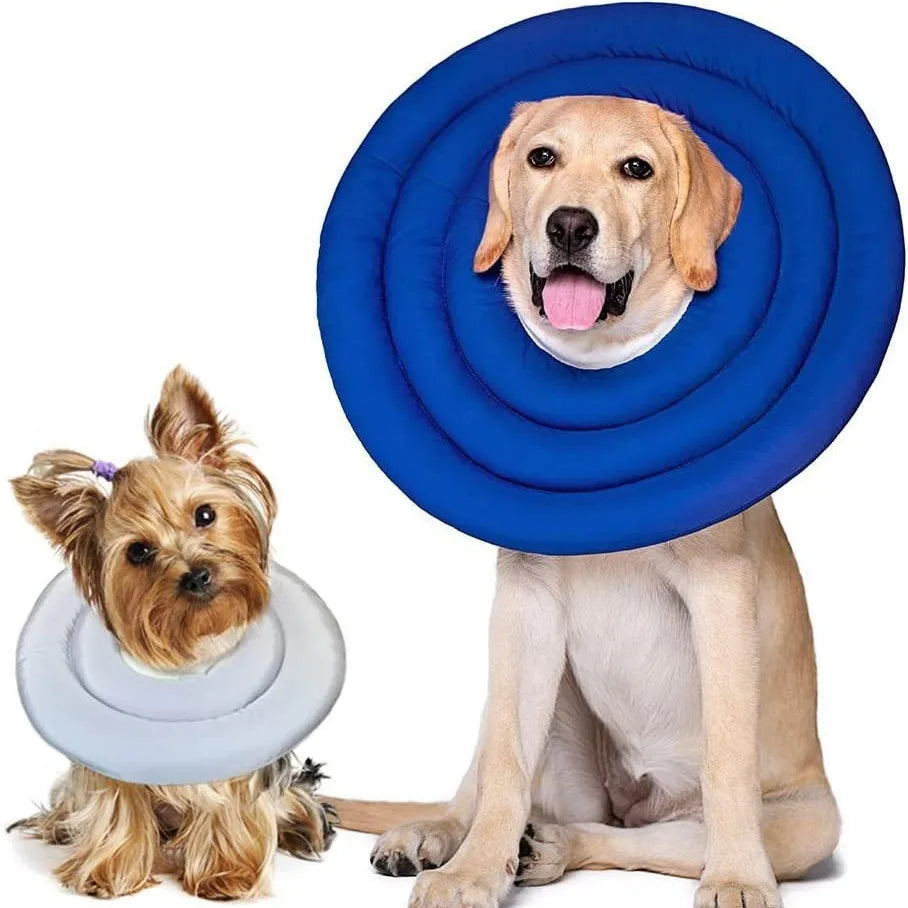 Adjustable Recovery Cone for Dogs (Elizabethan Collar)