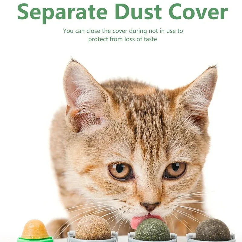 4-in-1 Silver Vine Catnip Wall Ball