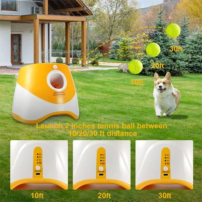 Automatic Tennis Ball Launcher for Dogs