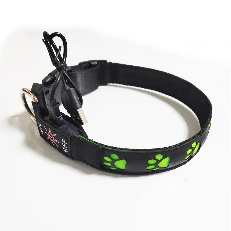 Rechargeable Light-Up Dog Collar