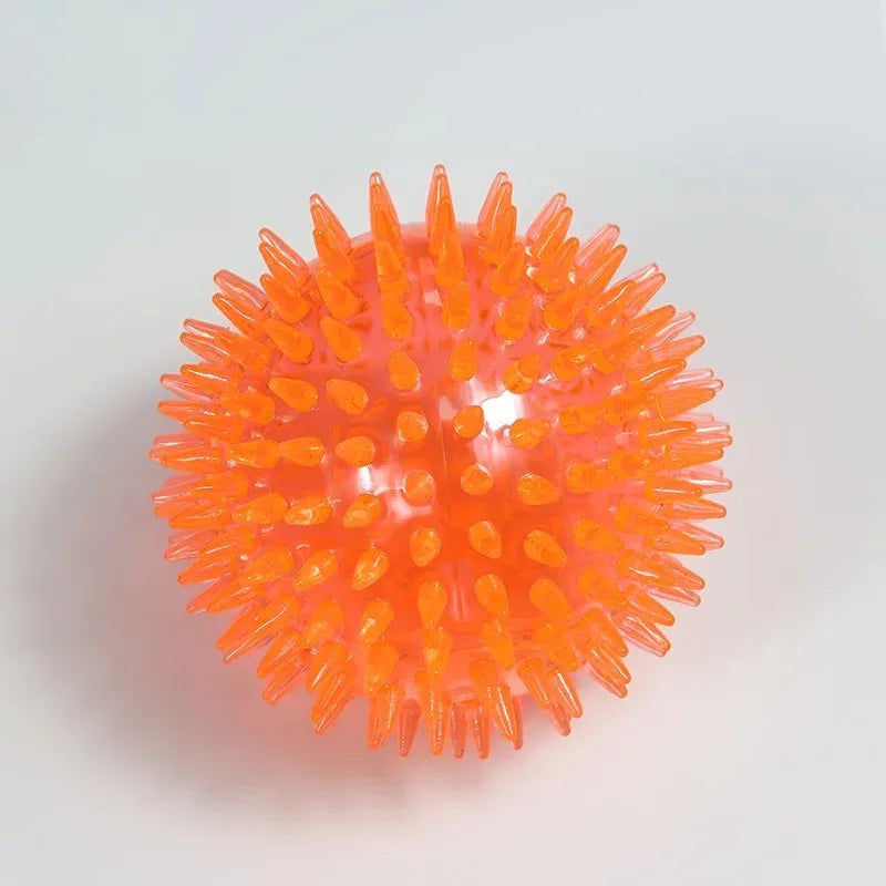 Squeaky Spiky Dental Ball